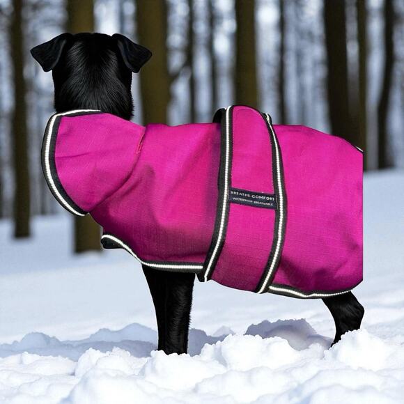 PetRageous Juneau Dog Coat Sz Small Waterproof Wind Chest Coverage Jacket 7303MS - Picture 1 of 13